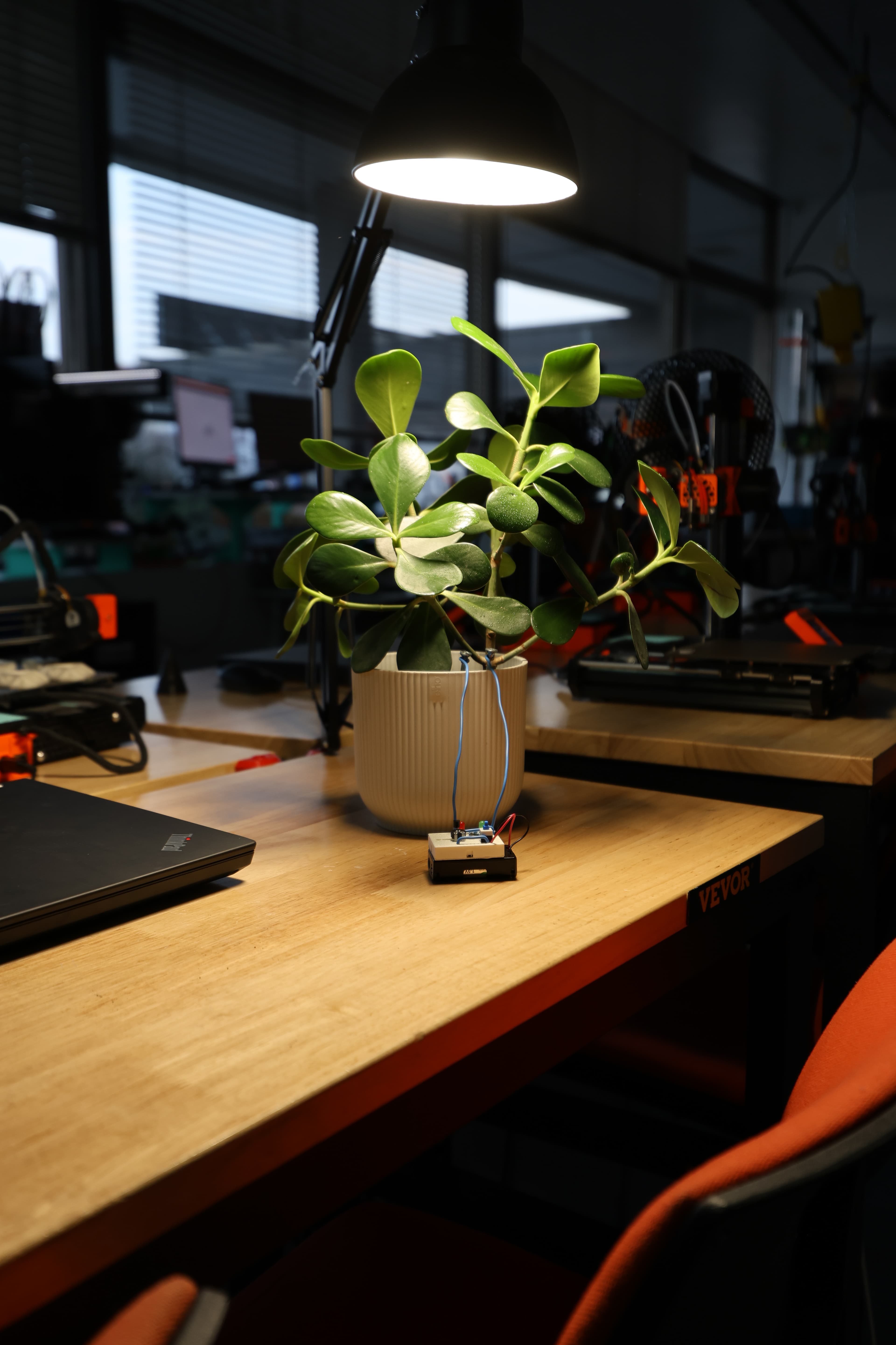 Chytré zavlažování květin