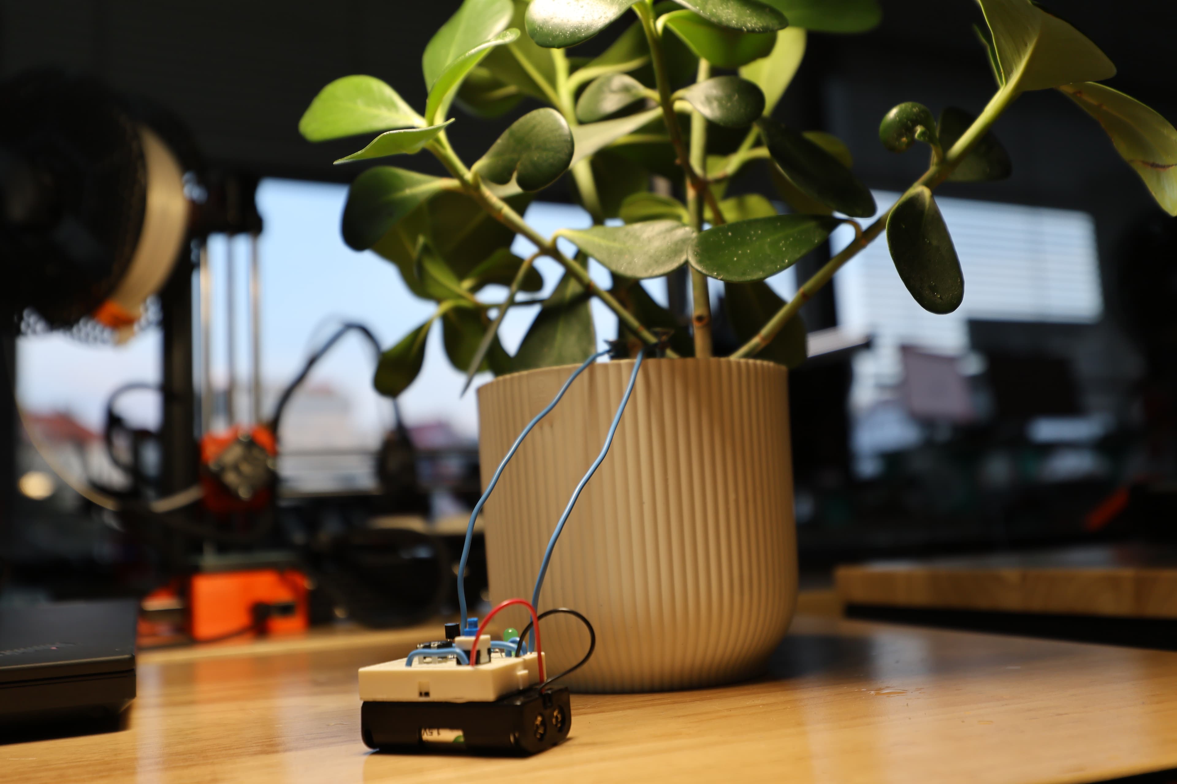 IoT senzor na květině